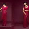 Zeel the Starlit Saree Vol 1