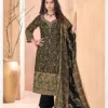 Harshit Fashion Hub Kashmirana