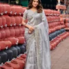 Lt Jimmy Vol 6 Cloud with Fancy Embroidery Work Saree Collection