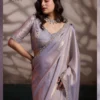 Sethnic Luminah Velvet Satin with Zarkan Border Party Wear Saree Collection