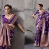 Sethnic Nakshi Banarasi Silk Sequence Work Saree Collection