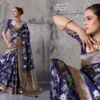 Sethnic Nakshi Banarasi Silk Sequence Work Saree Collection
