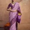 Kreshva Tapasya Sigma Silk Patola Saree Collection