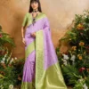 Rajtex Karnation Handloom Weaving Silk Saree Collection