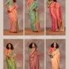 Rajtex Kirtan Two Tone Silk Handloom Weaving Saree Collection