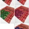 Rajyog Rudraksh Patola Silk Zari Border Patola Saree Collection