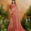 Rhythm Patola Viscose Cotton Handloom Weaving Saree Collection